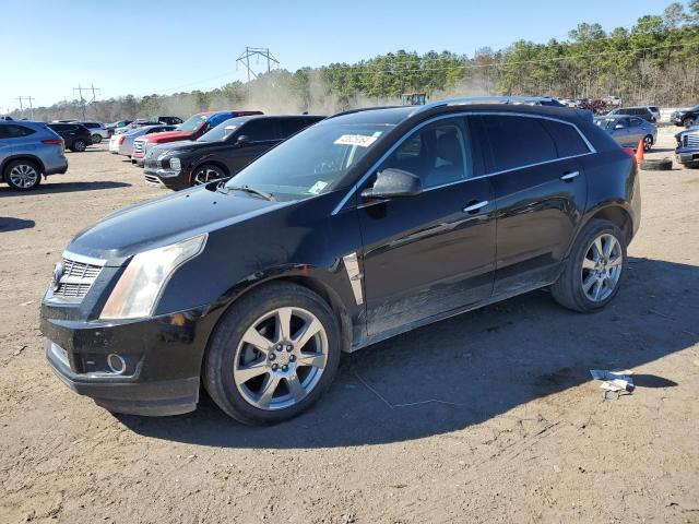 CADILLAC SRX PERFORMANCE COLLECTION 2010 0