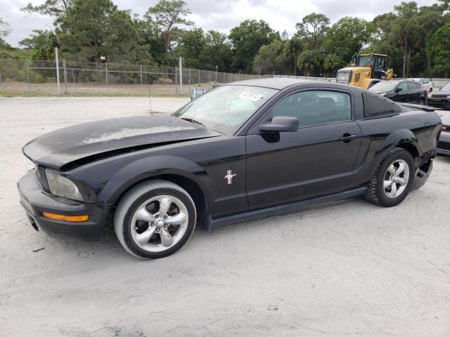 FORD MUSTANG  2008 0