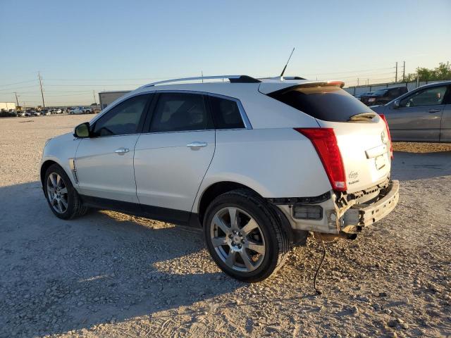 CADILLAC SRX PERFORMANCE COLLECTION 2012 1