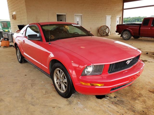 FORD MUSTANG  2005 0