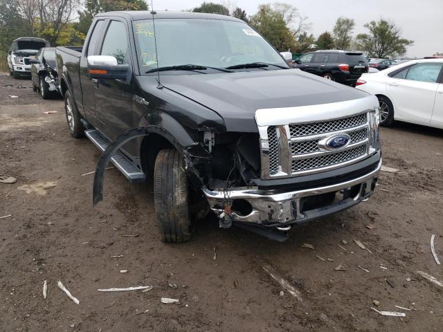 FORD F-150 2010 0