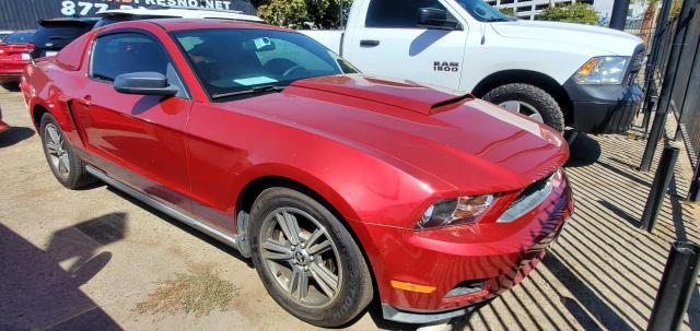 FORD MUSTANG  2010 0
